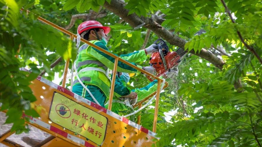 古典园林景观设计常用植物