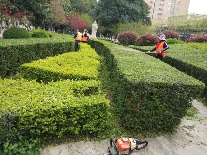 惠州园林绿化工程合同