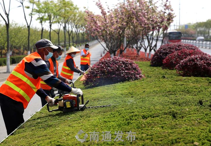 琅琊台南路绿化工程