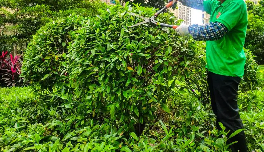 花园园林景观设计报价